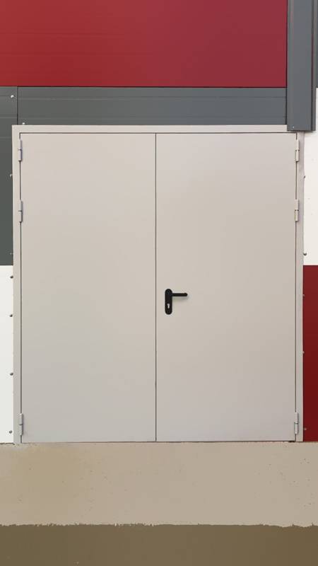 Двупольная дверь (р-н Митино, ул. Барышиха, 49) Двупольная дверь (р-н Митино, ул. Барышиха, 49)