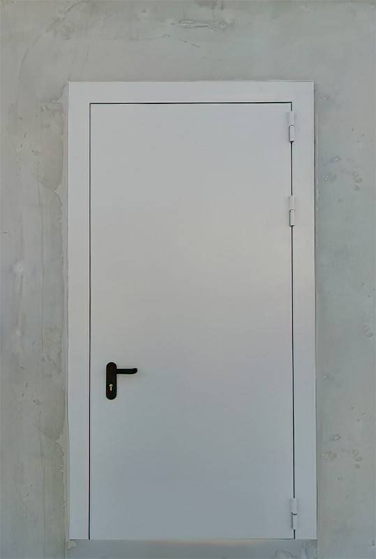 Огнестойкая дверь, фото спереди (коттеджный поселок, Истринский р-н)