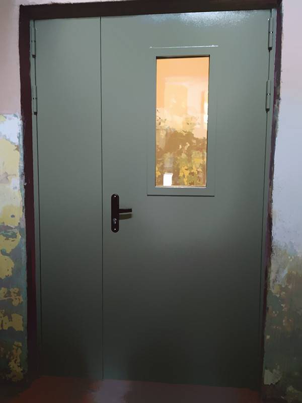 Подъездная дверь с окном (ул. Архитектора Власова)
