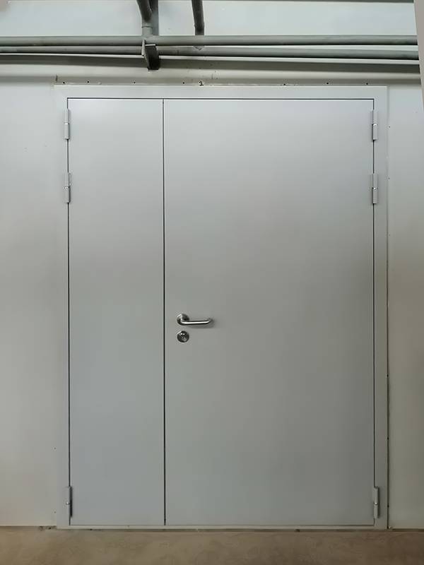 Полуторопольная дверь, фото снаружи Полуторопольная дверь, фото снаружи