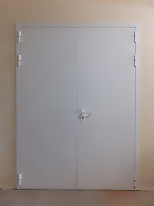 Равностворчатая дверь для больницы Равностворчатая дверь для больницы